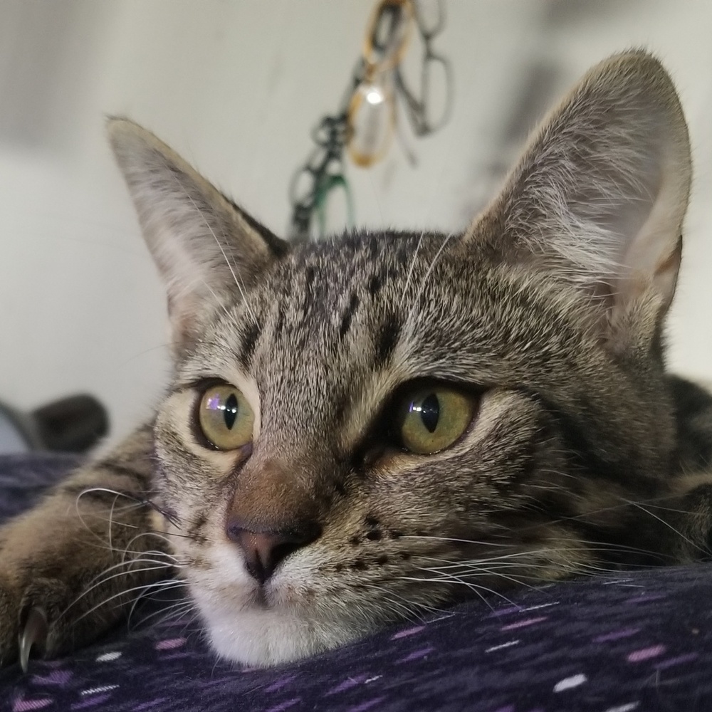 Meet your Posher, Reann